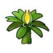 pvz-fusion-niejo-icon