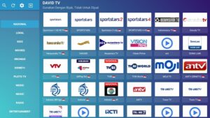 David TV 1