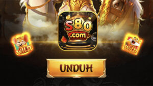 S80 4