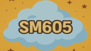 SM605 3