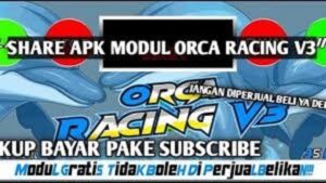 Modul Orca Racing 1