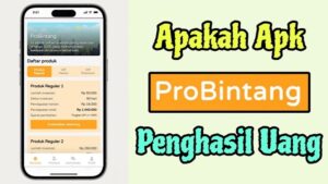 ProBintang 3