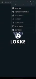 Lokke 2