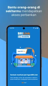BRILink Mobile 2