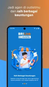 BRILink Mobile 3