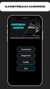Carstream 1