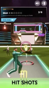 Cricket Fly 2
