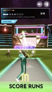 Cricket Fly 3