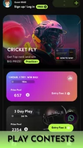 Cricket Fly 4