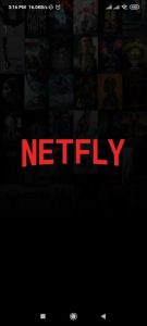 NETFLY 1