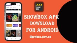 Showbox 3
