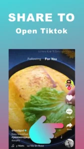 Snaptik 2