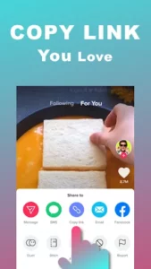 Snaptik 3