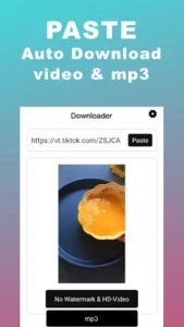 Snaptik 4