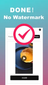 Snaptik 5