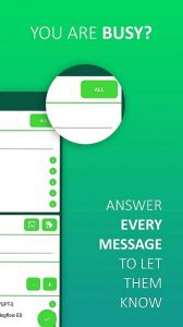 AutoResponder WA Pro 3