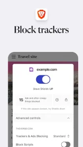 Brave Browser 4