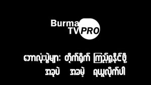 Burmese TV Pro 1