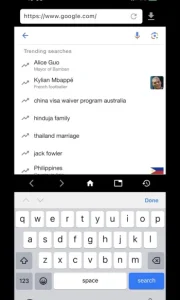 CatBrowser 1
