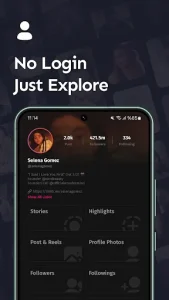 InAnalyze 2