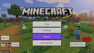Minecraft 1.21.114.1 1