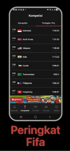 Timnas Indonesia 3