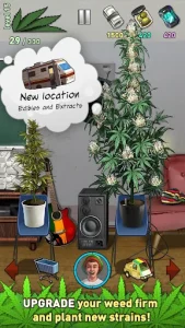 Weed Firm 2 3