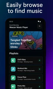 Weezer 2