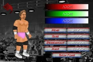 Wrestling Revolution 2