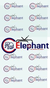 Elephant TV 4