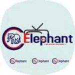 elephant-tv-icon