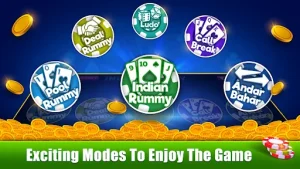 Rummy Ludo 1