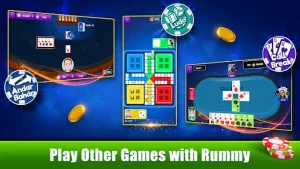 Rummy Ludo 3