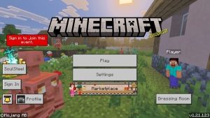 Minecraft 1.21.123 2